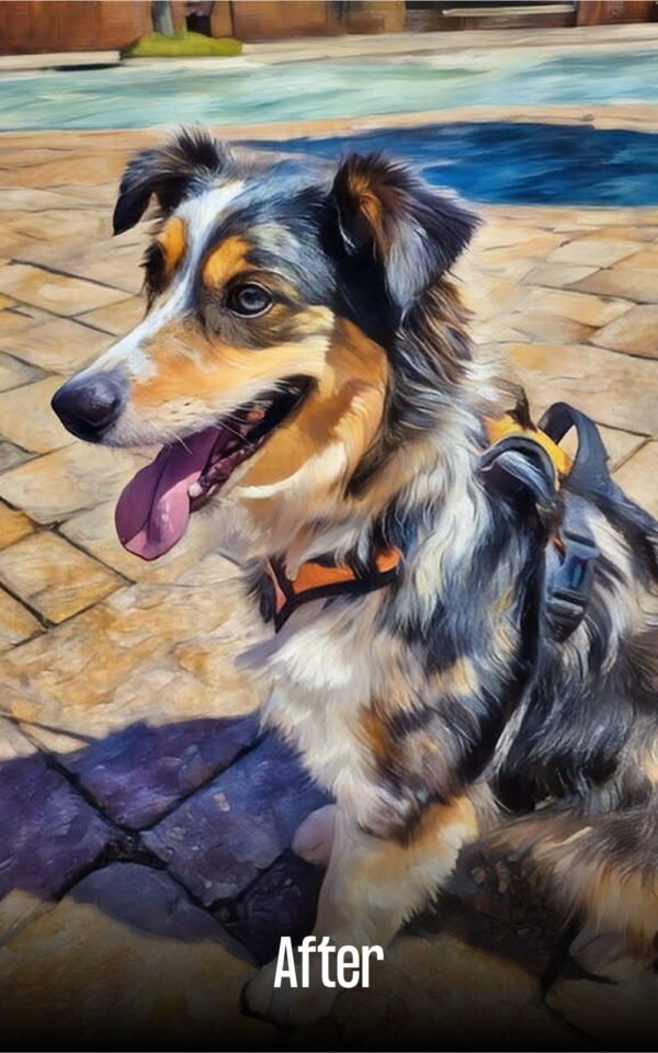 Dog portrait - Image 3